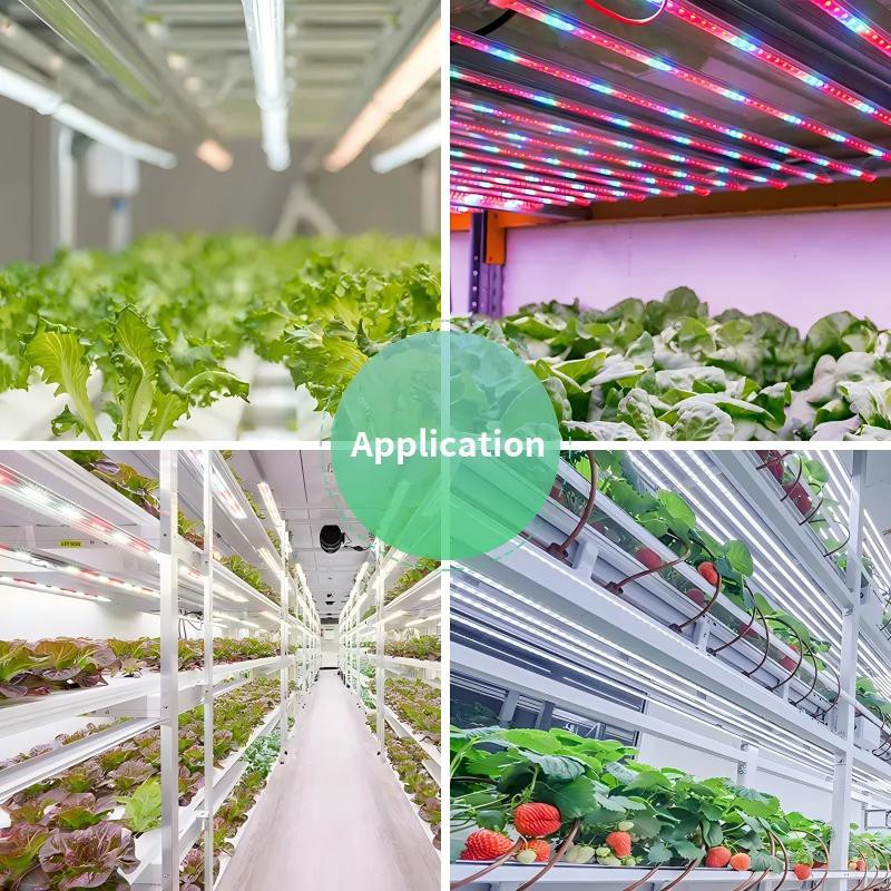 LED grow light tube.jpg