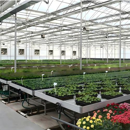 productcate-500-500