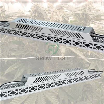 Top Greenhouse Grow Light