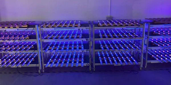 UV spectrum
