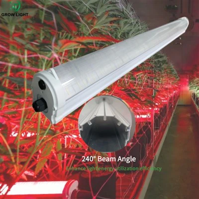 Luci di coltivazione sotto il baldacchino su 3 lati con spettro completo per la stanza di coltivazione